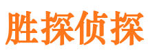 白塔寻人公司